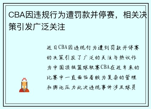 CBA因违规行为遭罚款并停赛，相关决策引发广泛关注