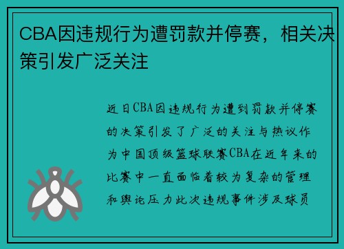 CBA因违规行为遭罚款并停赛，相关决策引发广泛关注
